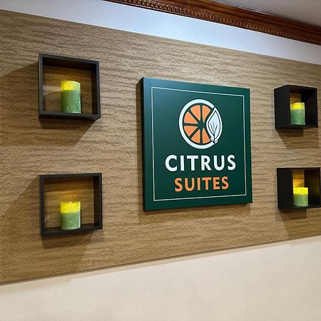 Citrus Suites Redlands Loma Linda Hotel Eksteriør billede
